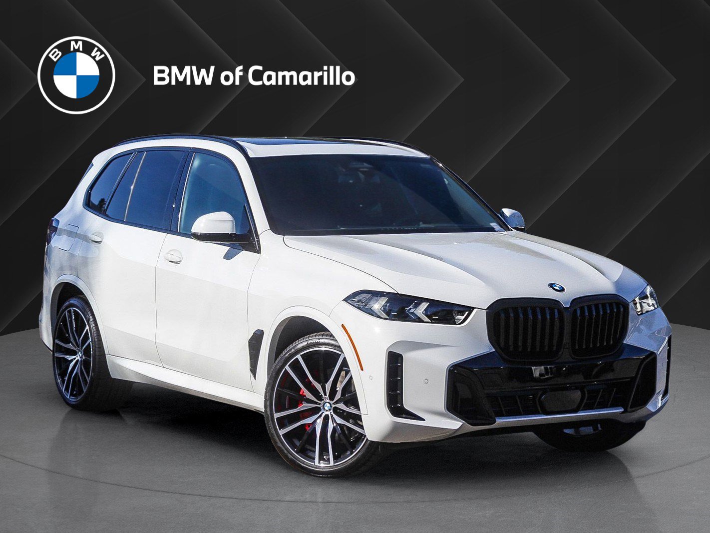 2026 BMW X5 40i's photo