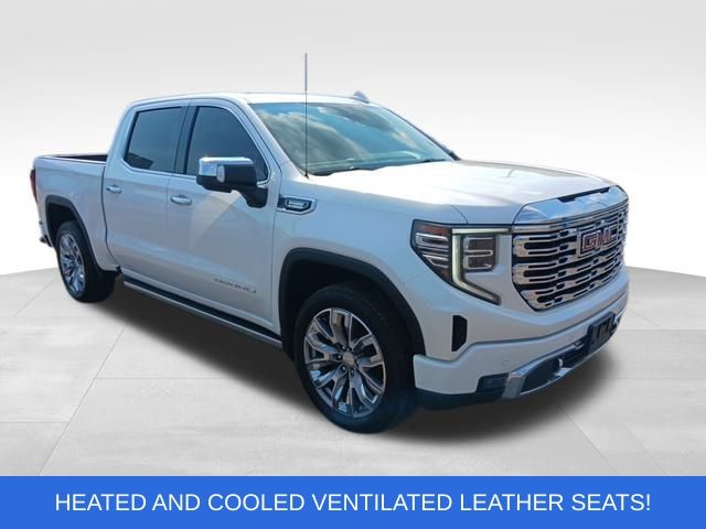 2022 Gmc Sierra 1500 Denali photo 22