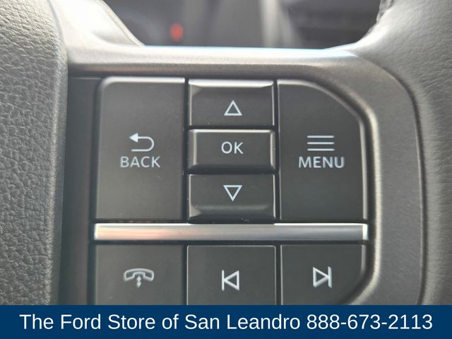 2025 Ford F-150 Lightning photo 23