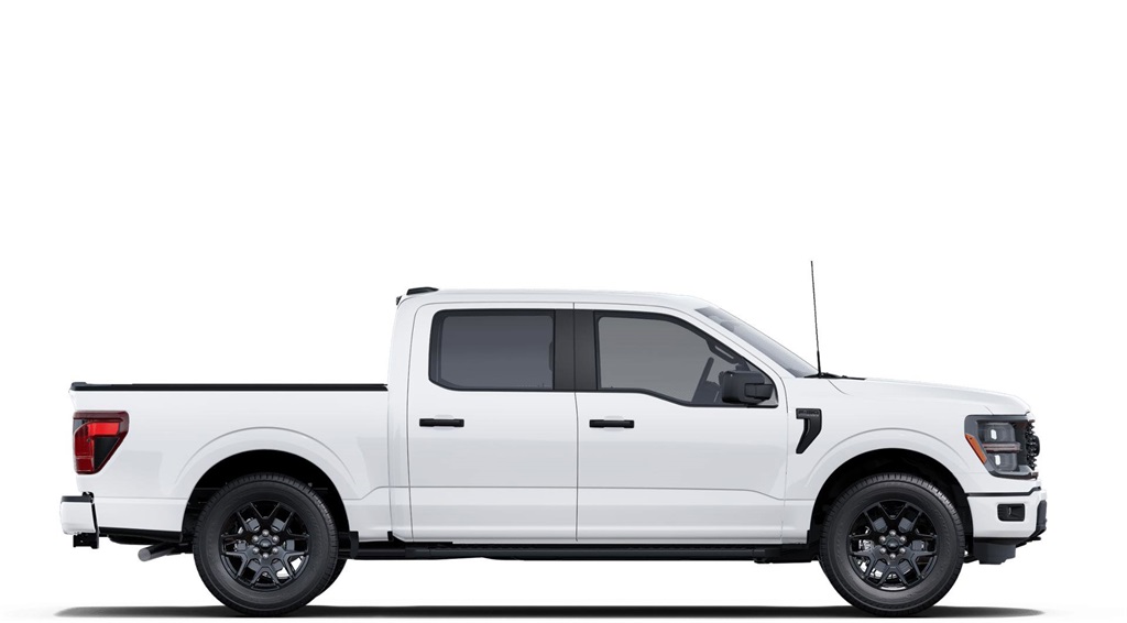 2025 Ford F-150 STX photo 5