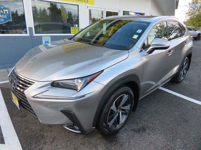 2020 Lexus NX Hybrid 300h