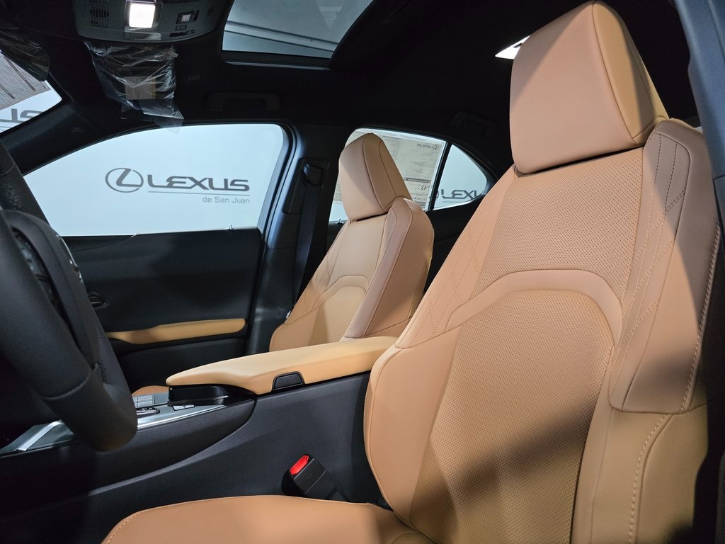 2025 Lexus UX photo 12