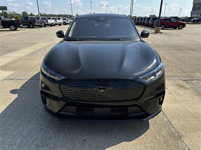 2025 Ford Mustang Mach-E GT photo 3