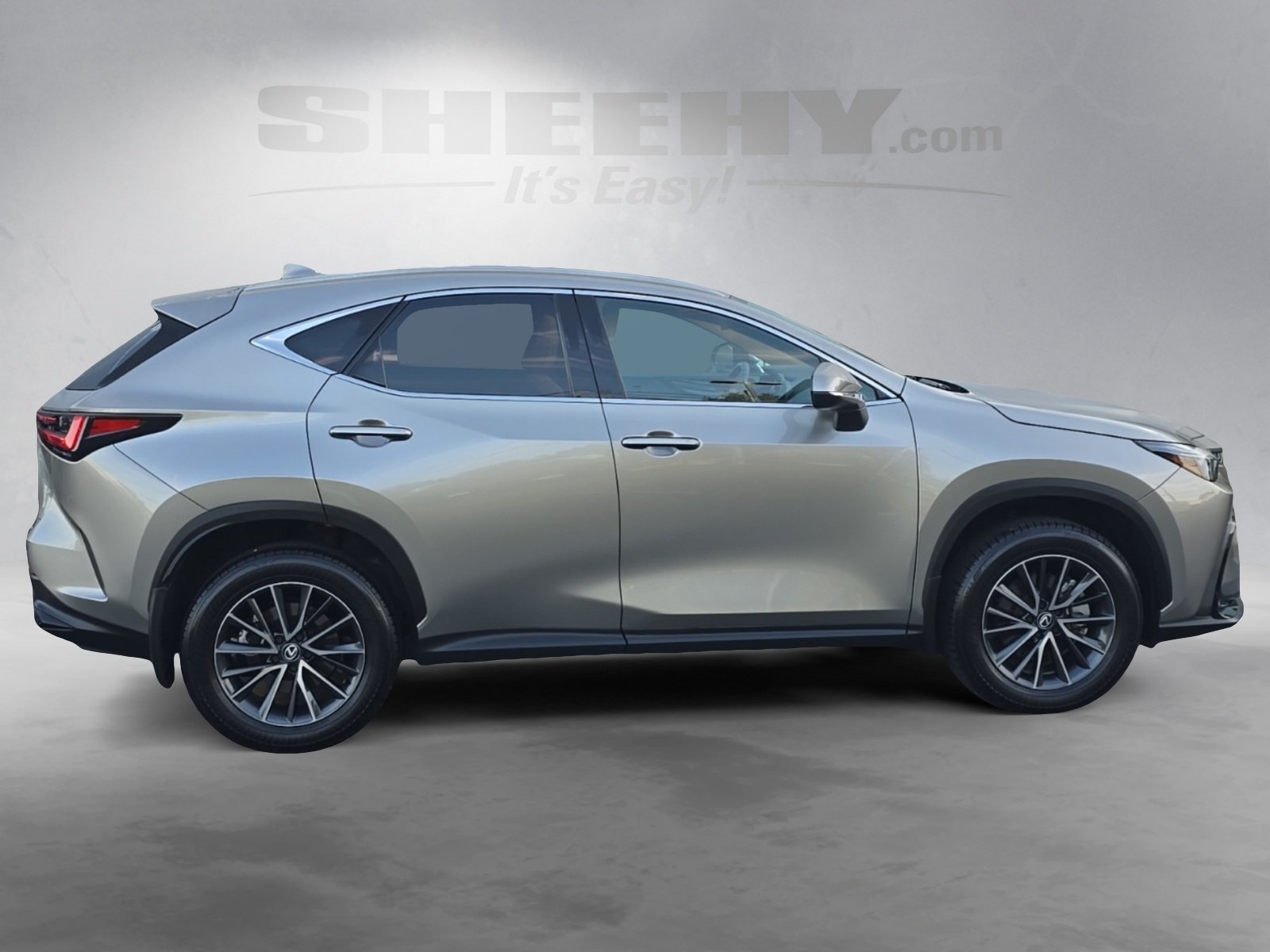 2024 Lexus NX 350 Premium photo 6