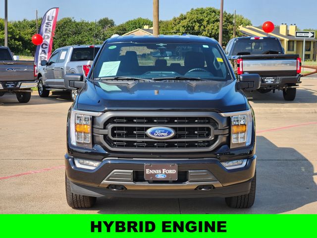 2023 Ford F-150 XLT photo 3