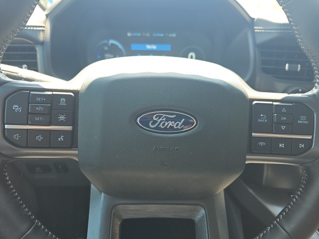 2024 Ford F-150 Lightning photo 13