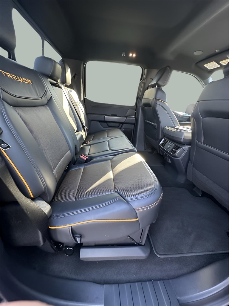 2025 Ford F-150 Tremor photo 14