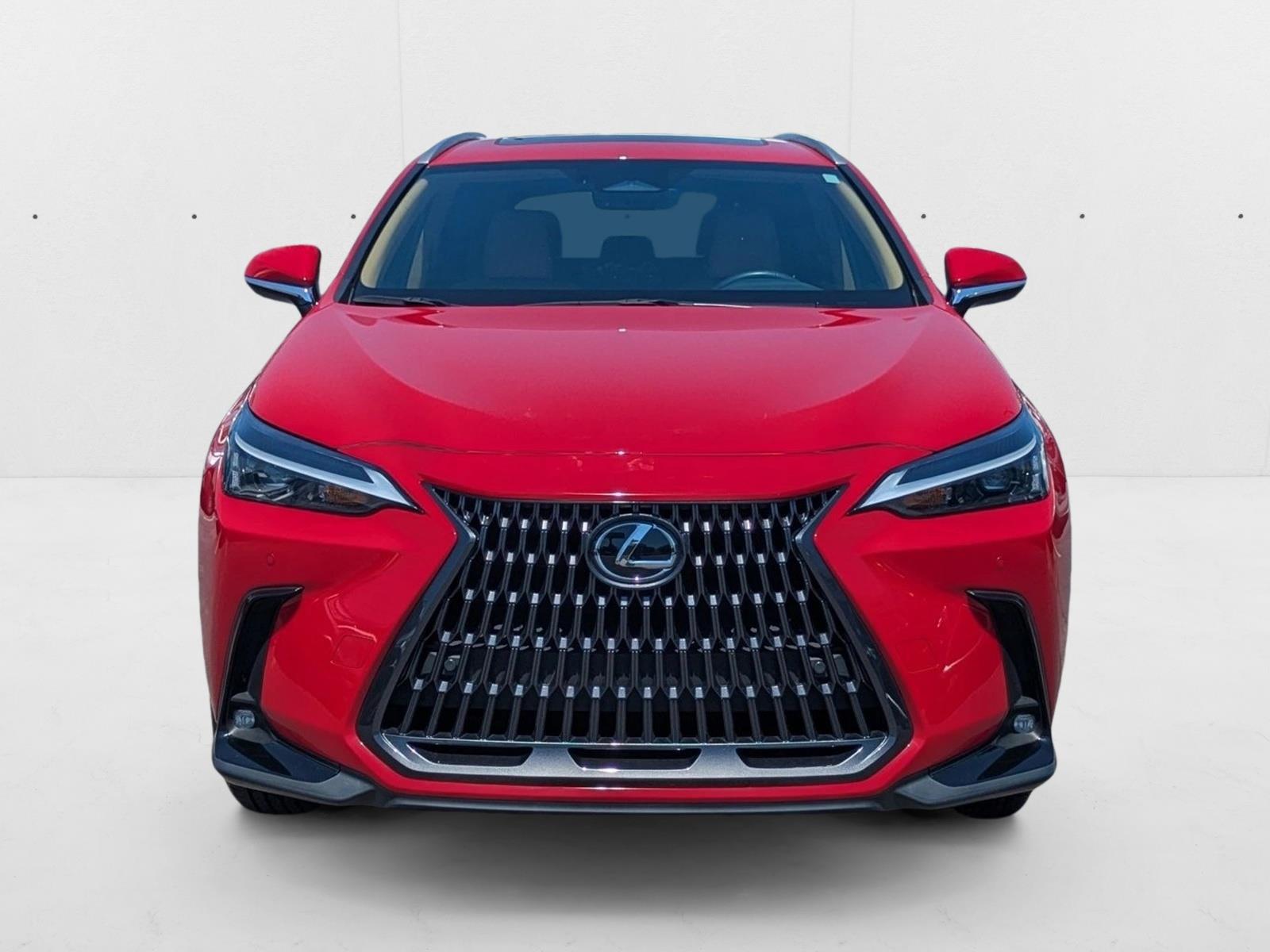 2025 Lexus NX 250 Premium photo 2