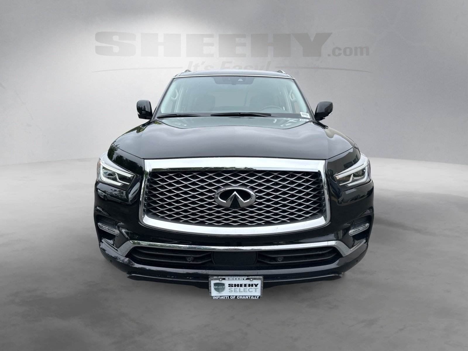 2022 Infiniti QX80 Luxe photo 2