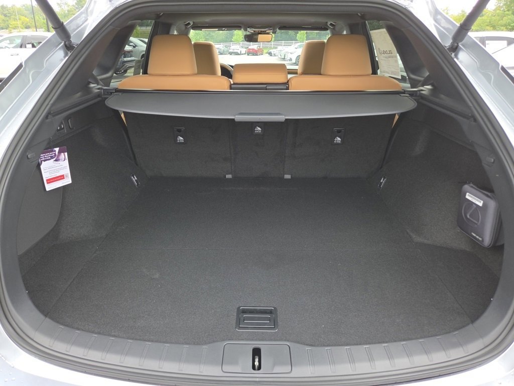 2025 Lexus RX 350 Premium photo 24