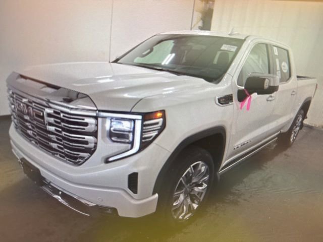 2025 Gmc Sierra 1500 Denali photo 2