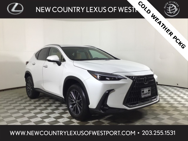 2025 Lexus NX 350's photo
