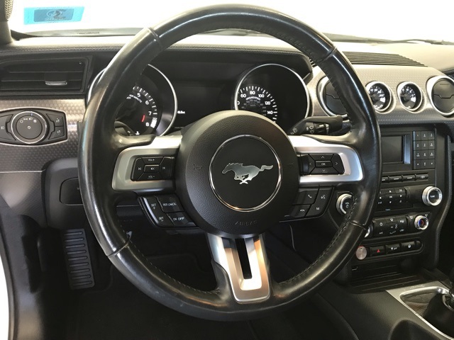 2018 Ford Mustang GT photo 19