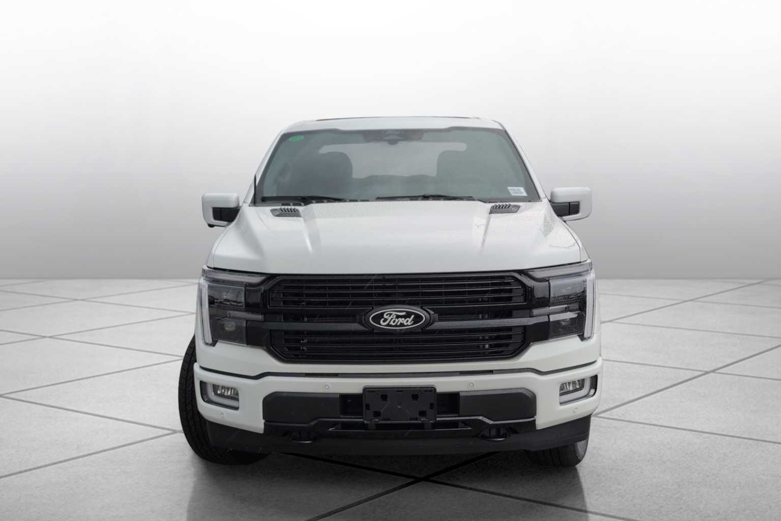 2025 Ford F-150 Platinum photo 2