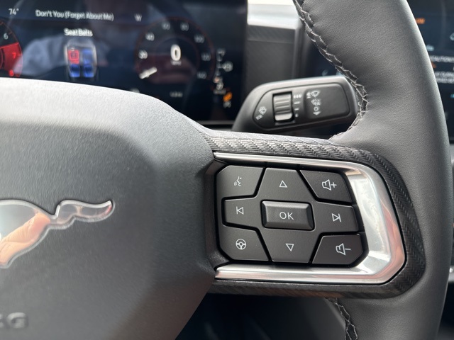 2025 Ford Mustang EcoBoost photo 28