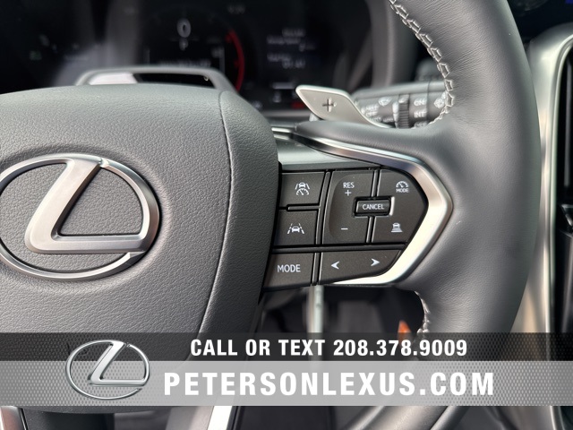 2025 Lexus LX Luxury photo 27