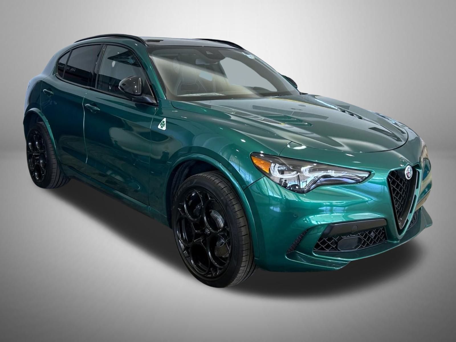 2024 Alfa Romeo Stelvio Quadrifoglio photo 3