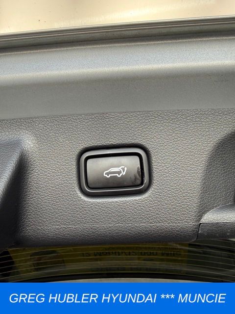 2025 Hyundai Palisade Calligraphy photo 66