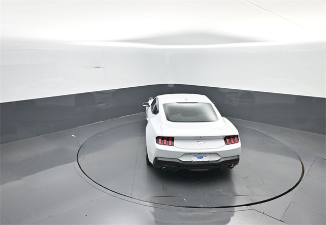2025 Ford Mustang EcoBoost photo 21