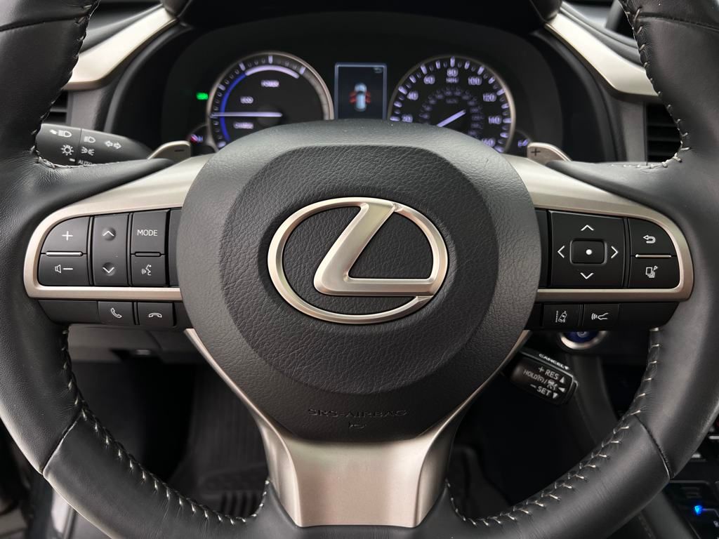2021 Lexus RX 450h photo 19