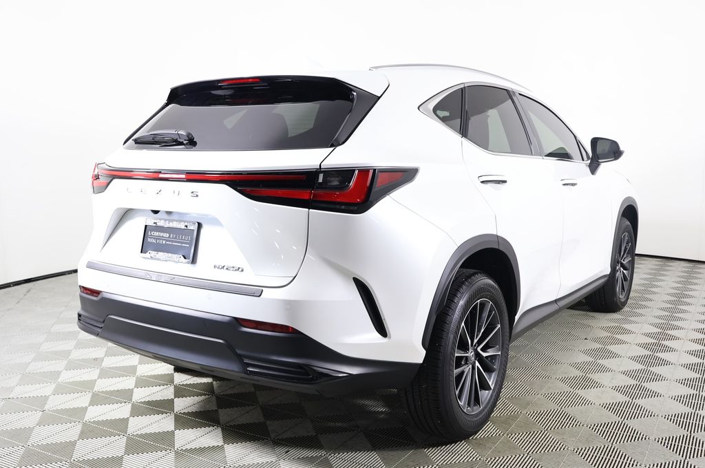 2024 Lexus NX 250 Premium photo 4