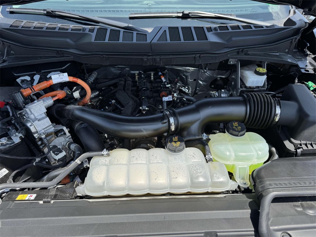 2024 Ford F-150 XLT photo 13