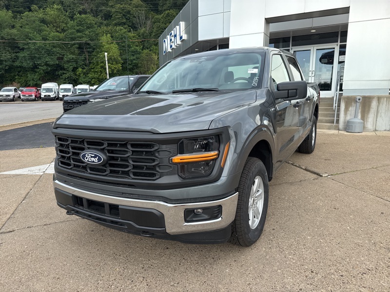 2025 Ford F-150 XL photo 3