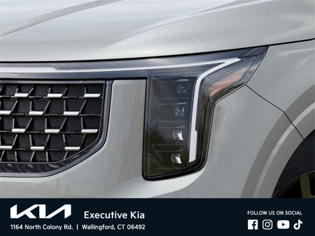 2026 Kia Carnival SX Prestige photo 8