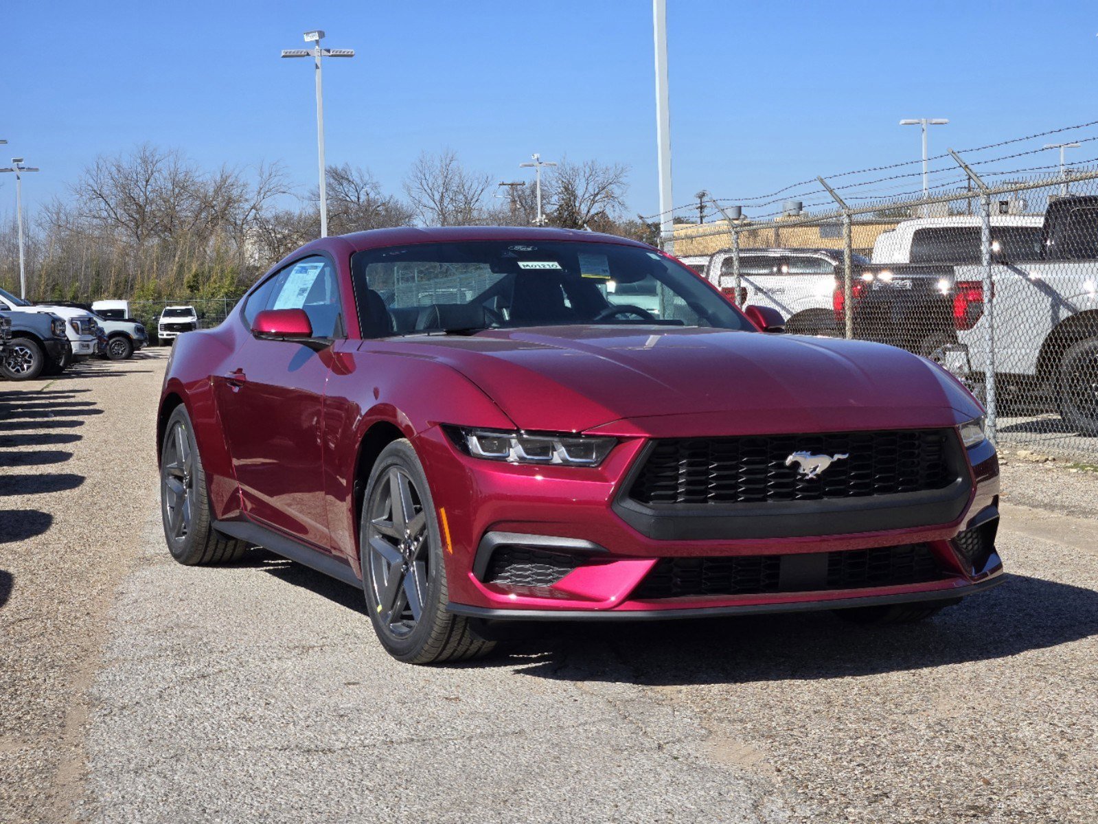 2025 Ford Mustang EcoBoost Premium photo 2