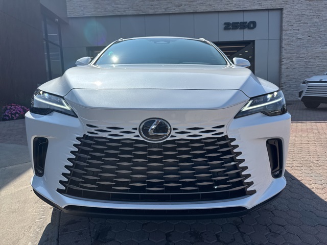 2025 Lexus RX 350 Premium AWD photo 18
