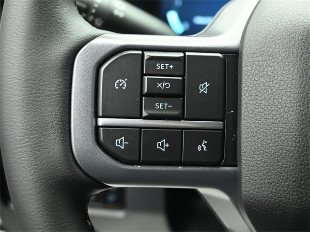 2025 FORD F-250 - Image 12