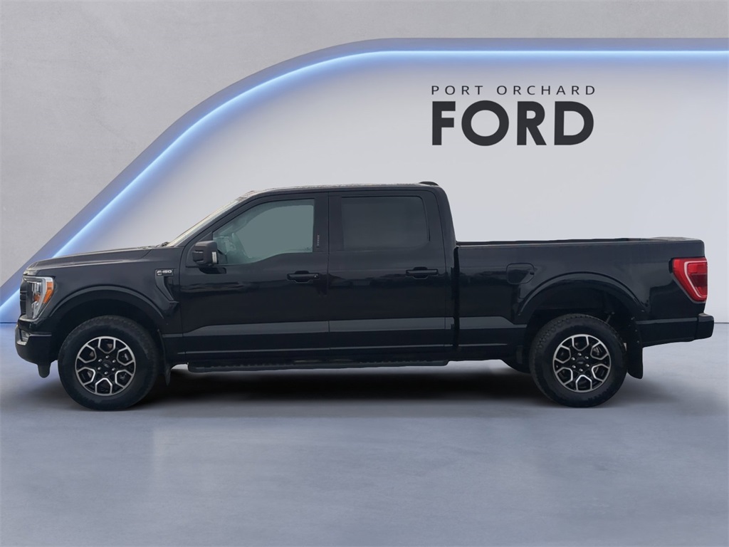 2023 Ford F-150 XLT photo 2