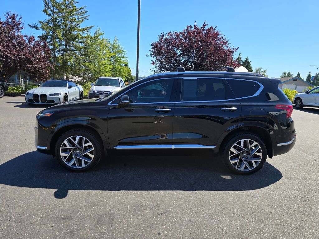 2023 Hyundai Santa Fe Calligraphy photo 2