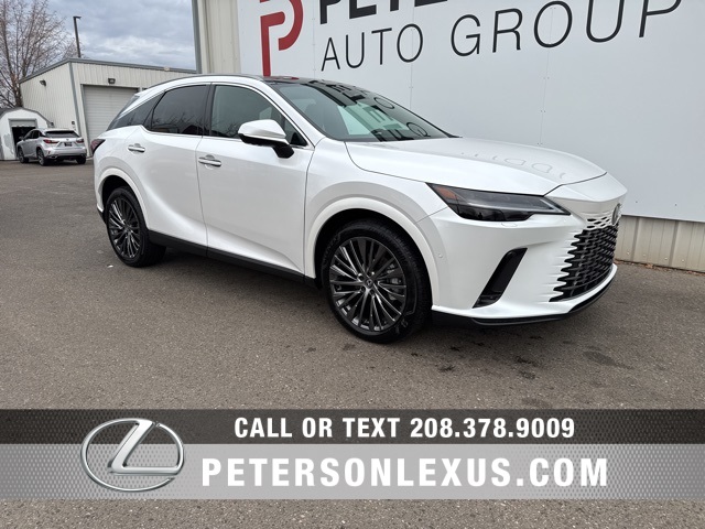 2024 Lexus RX 350's photo