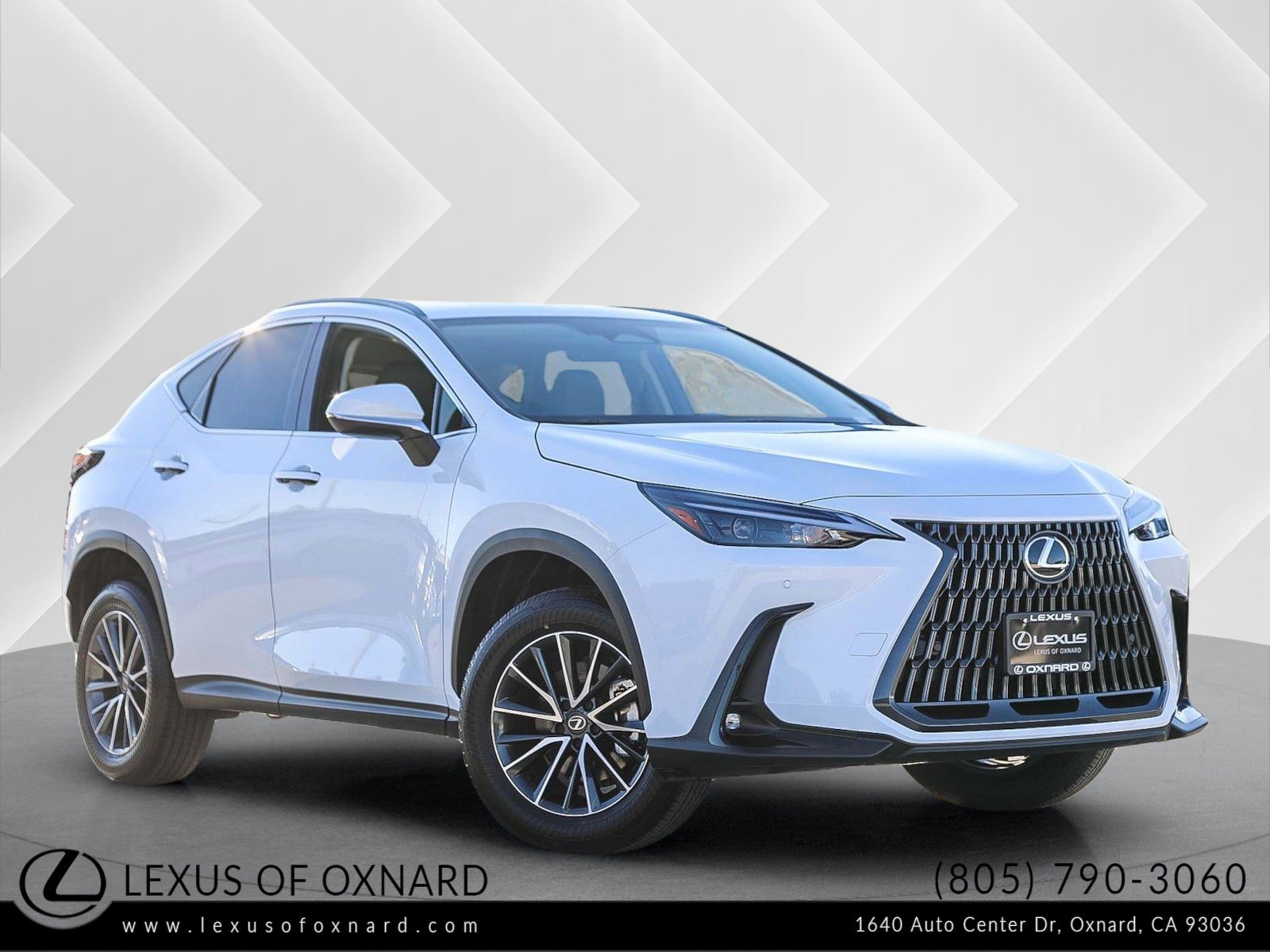 2026 Lexus NX Hybrid 350h's photo