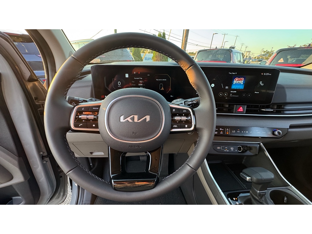 2026 Kia Carnival SX Prestige photo 8