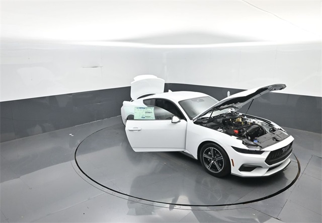 2025 Ford Mustang EcoBoost photo 32