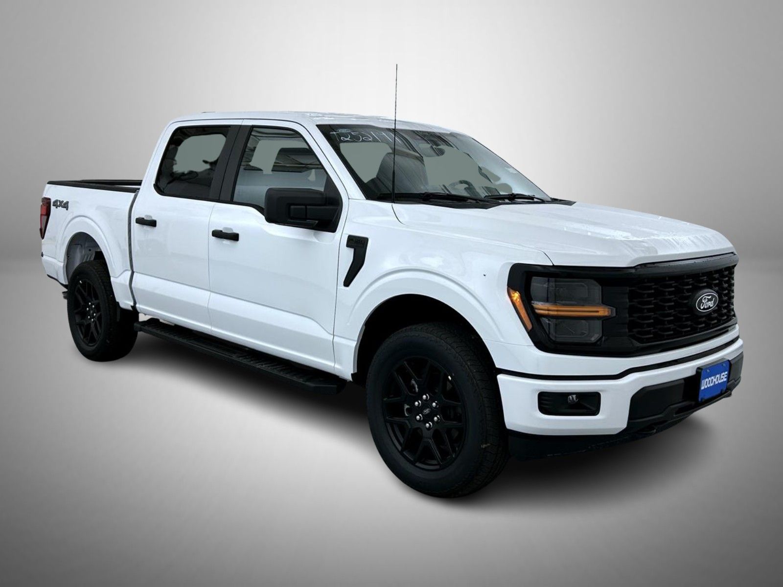 2025 Ford F-150 STX photo 3