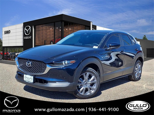 2026 Mazda CX-30 Premium's photo