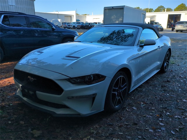 2019 Ford Mustang EcoBoost Premium photo 2