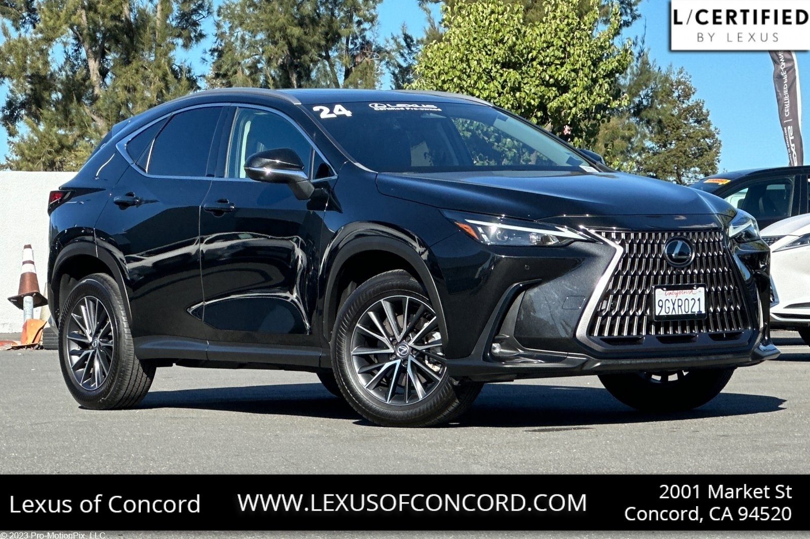 2024 Lexus NX 350's photo