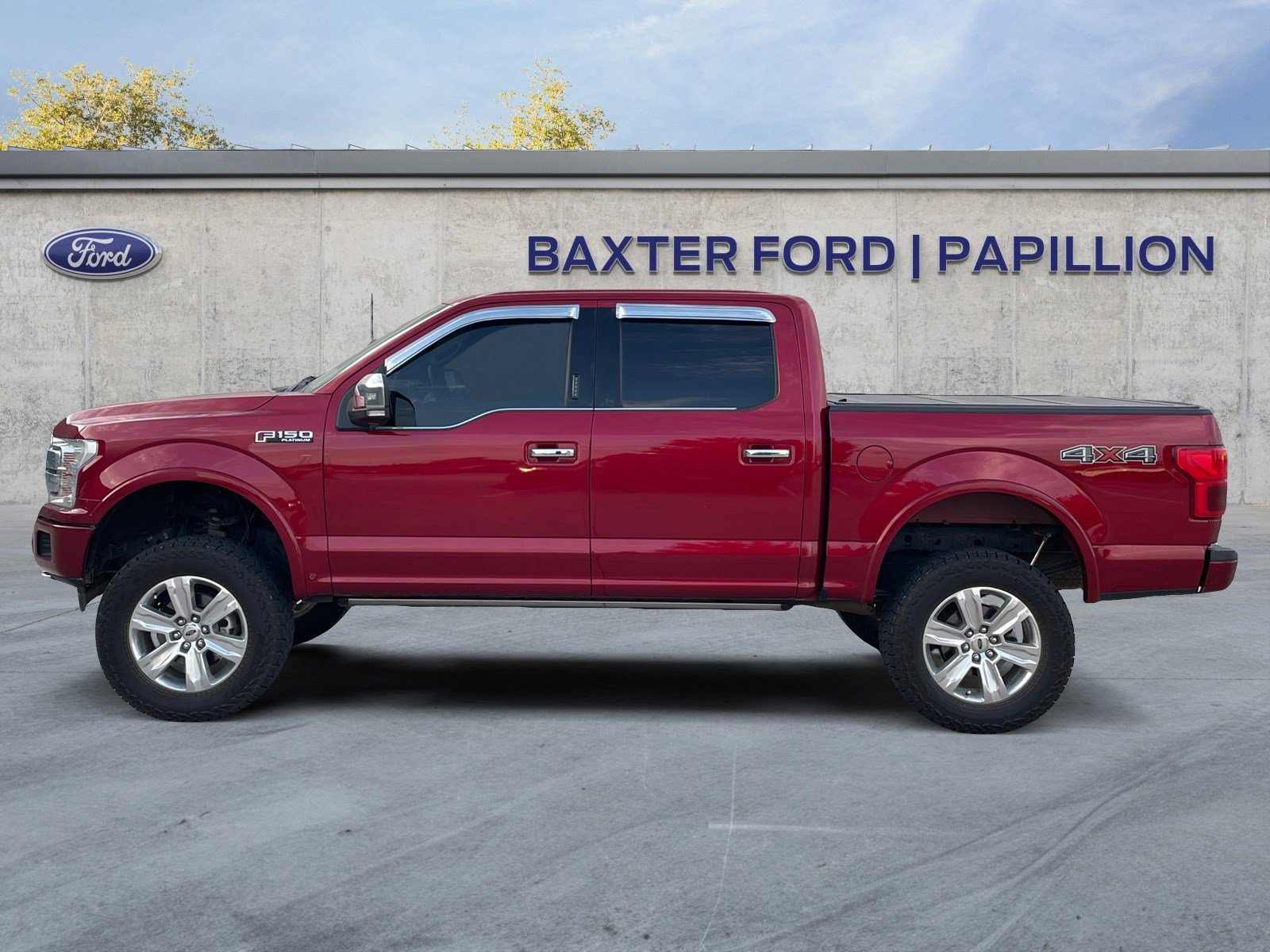 2019 Ford F-150 Platinum photo 2