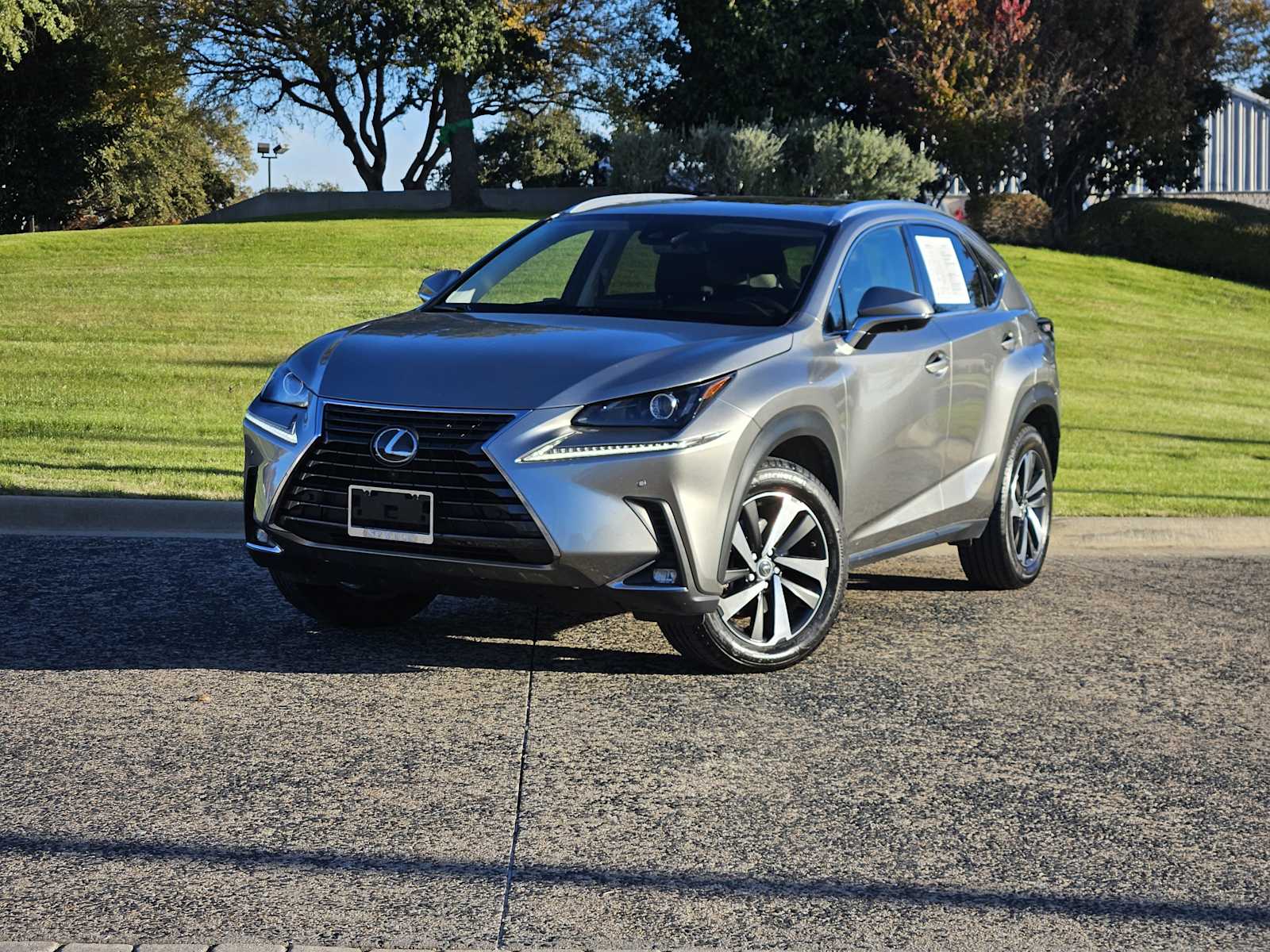2020 Lexus NX 300's photo