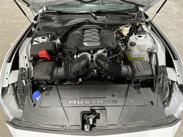 2025 Ford Mustang GT photo 21
