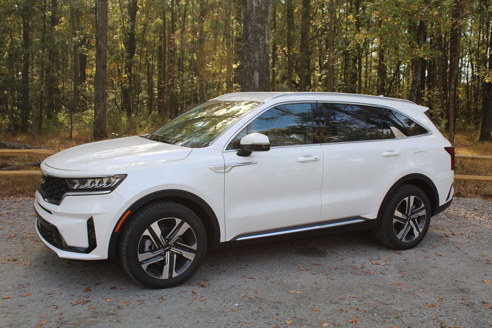 2025 Kia Sorento Hybrid EX photo 3