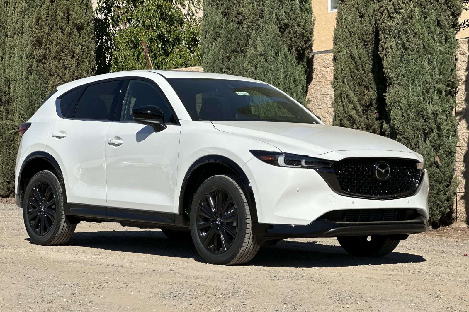 2025 Mazda CX-5 2.5 Turbo Premium photo 2