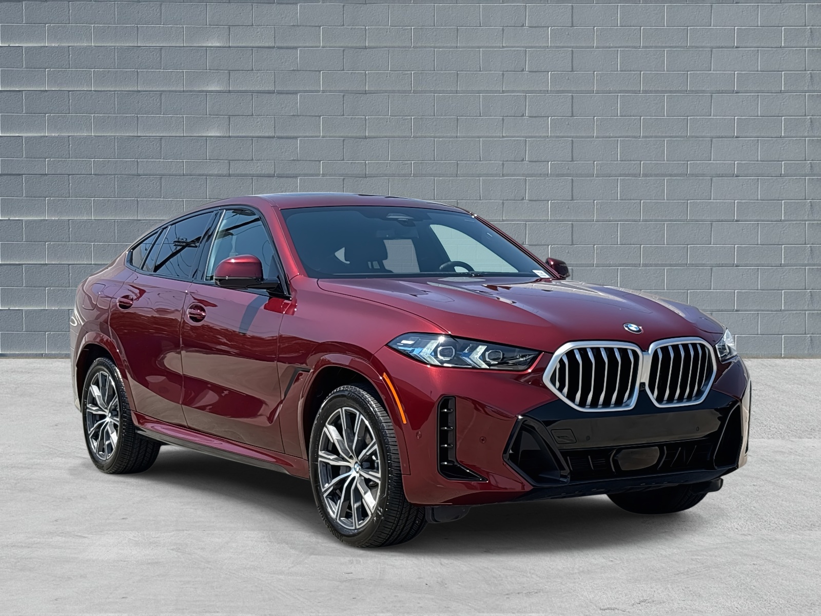 2025 BMW X6 40i's photo