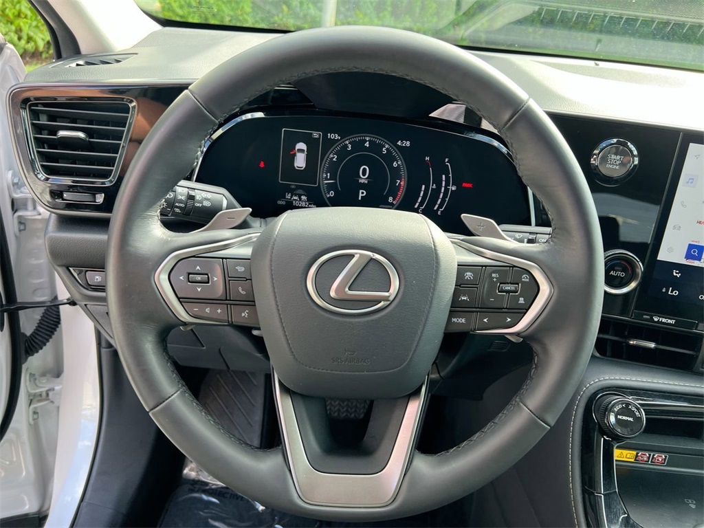 2025 Lexus NX 250 photo 9
