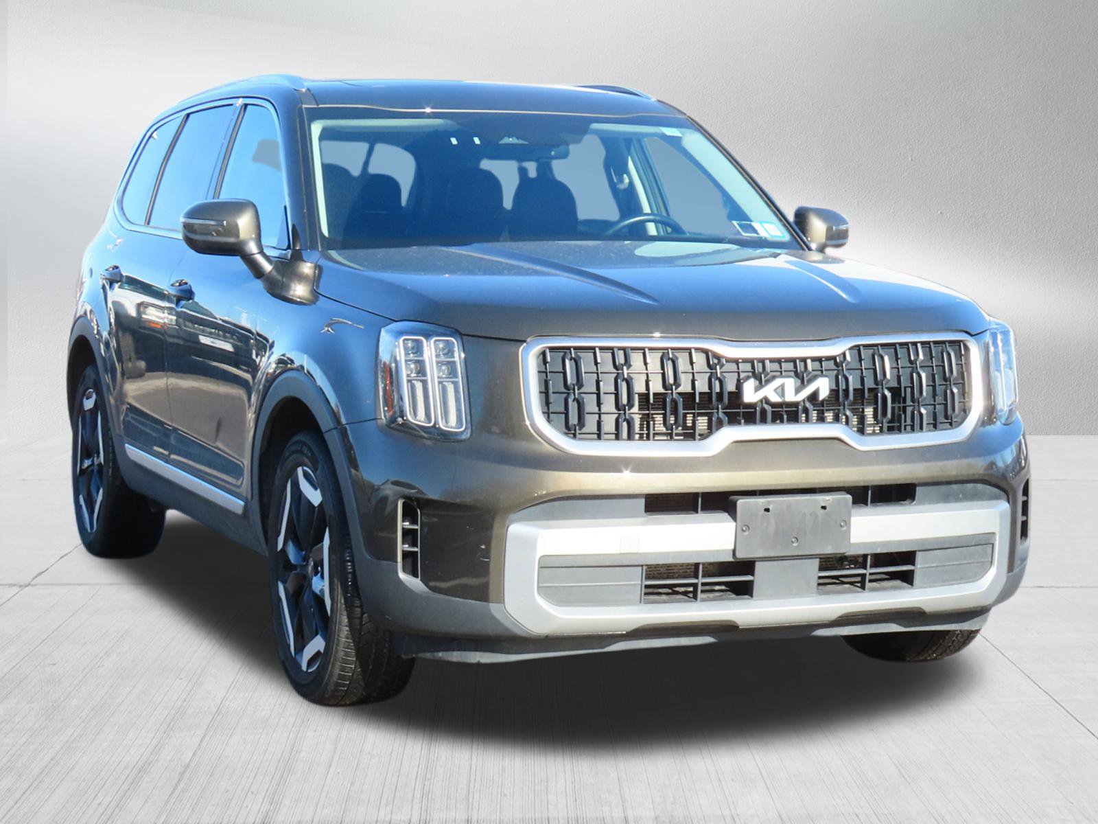 2023 Kia Telluride EX's photo