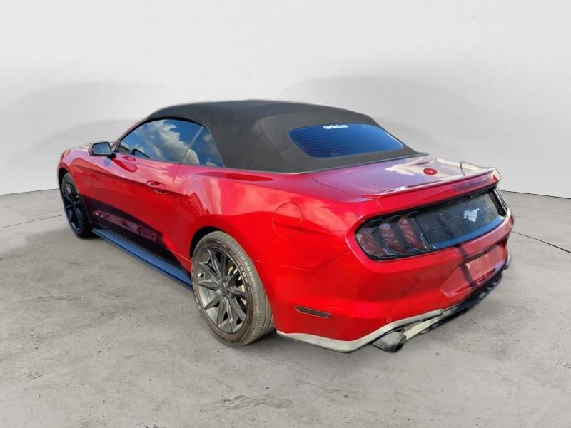 2019 Ford Mustang EcoBoost Premium Convertible photo 3